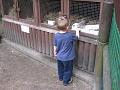 Zoo 06